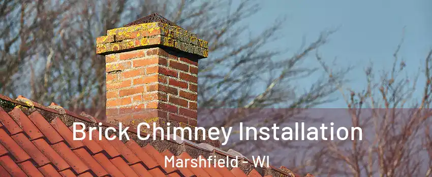  Brick Chimney Installation Marshfield - WI