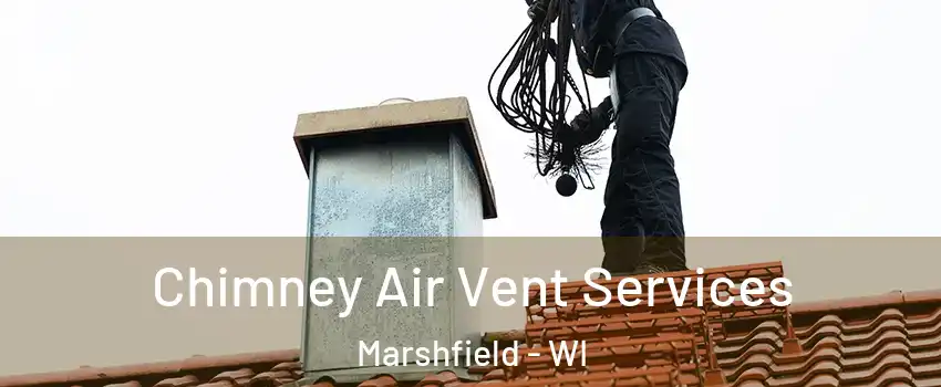  Chimney Air Vent Services Marshfield - WI