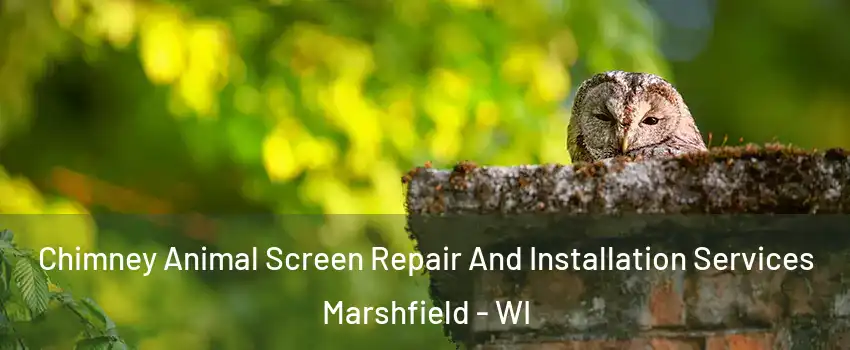  Chimney Animal Screen Repair And Installation Services Marshfield - WI