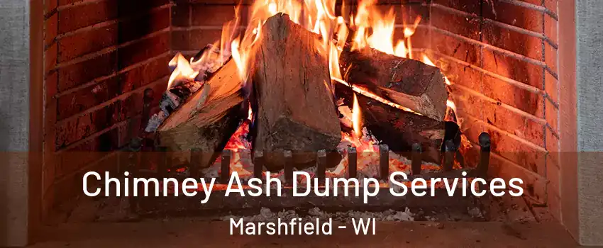  Chimney Ash Dump Services Marshfield - WI