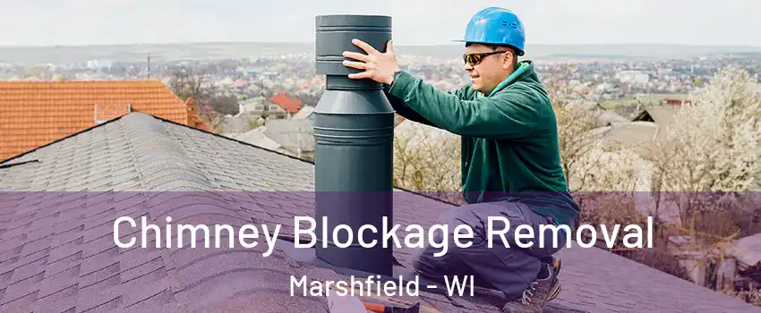  Chimney Blockage Removal Marshfield - WI