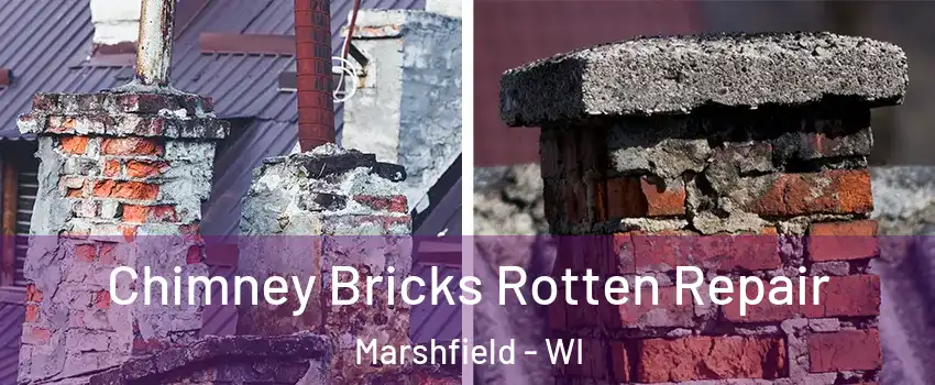  Chimney Bricks Rotten Repair Marshfield - WI