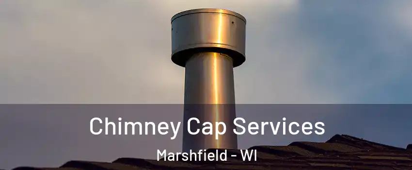  Chimney Cap Services Marshfield - WI