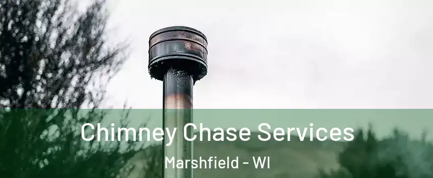  Chimney Chase Services Marshfield - WI