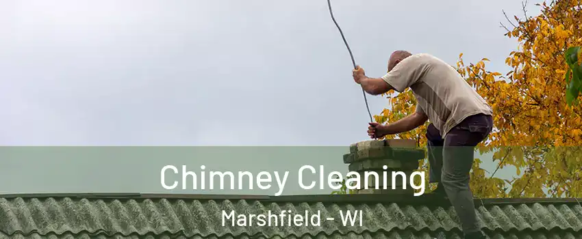  Chimney Cleaning Marshfield - WI