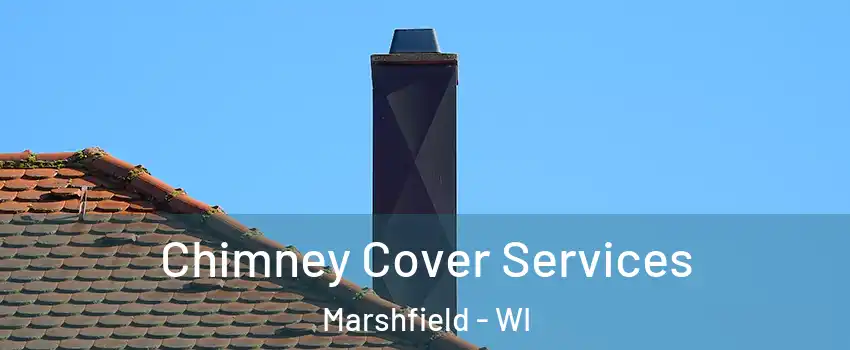  Chimney Cover Services Marshfield - WI