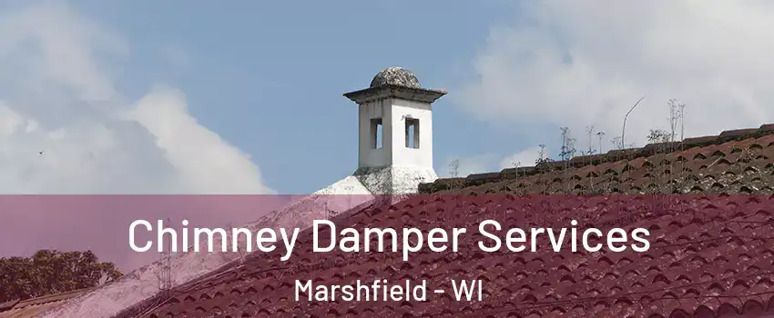  Chimney Damper Services Marshfield - WI