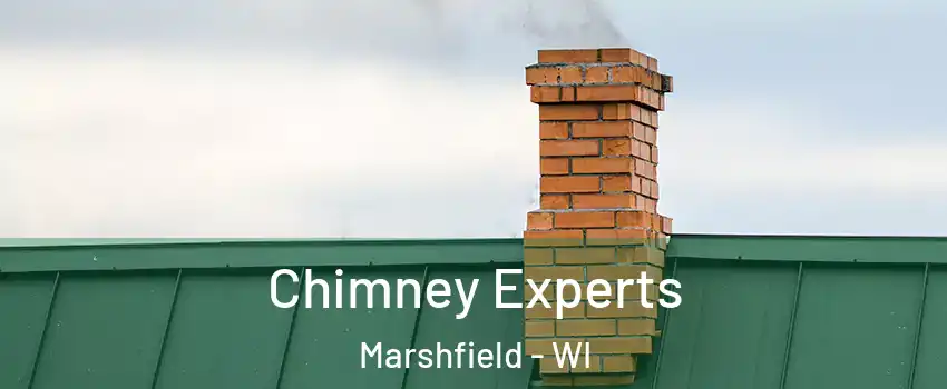  Chimney Experts Marshfield - WI