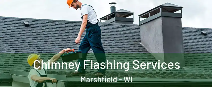  Chimney Flashing Services Marshfield - WI