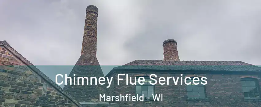  Chimney Flue Services Marshfield - WI