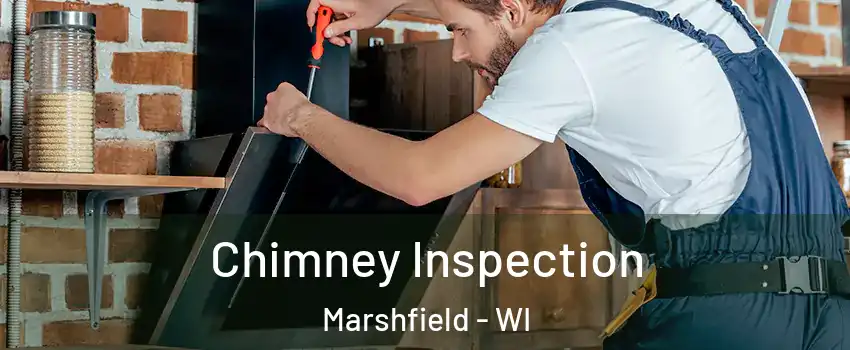  Chimney Inspection Marshfield - WI