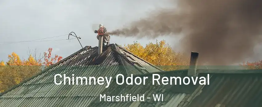  Chimney Odor Removal Marshfield - WI