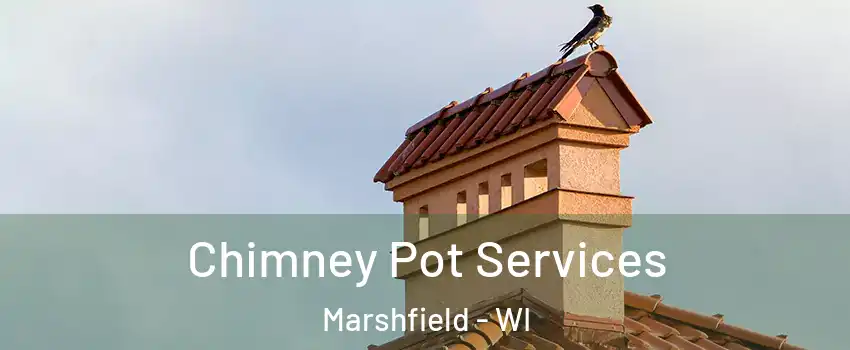  Chimney Pot Services Marshfield - WI