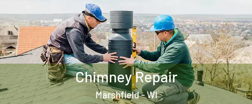  Chimney Repair Marshfield - WI