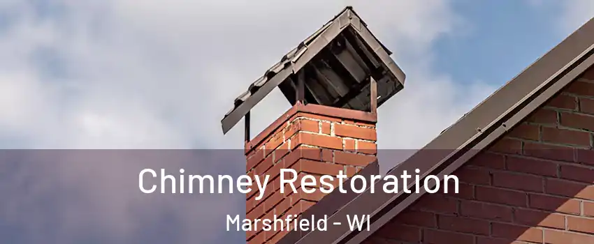  Chimney Restoration Marshfield - WI