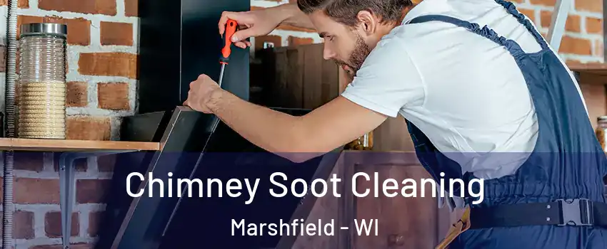  Chimney Soot Cleaning Marshfield - WI