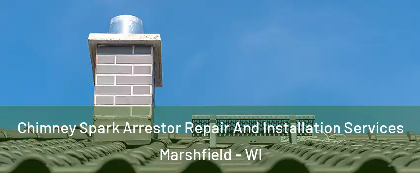  Chimney Spark Arrestor Repair And Installation Services Marshfield - WI