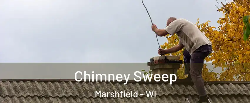 Chimney Sweep Marshfield - WI