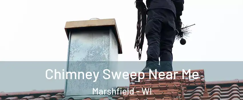  Chimney Sweep Near Me Marshfield - WI