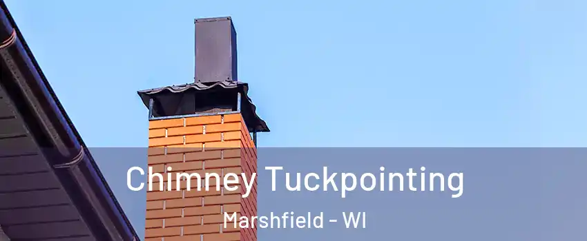 Chimney Tuckpointing Marshfield - WI
