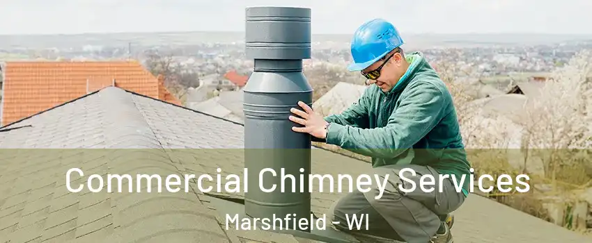 Commercial Chimney Services Marshfield - WI
