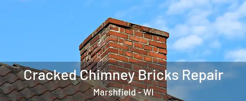  Cracked Chimney Bricks Repair Marshfield - WI