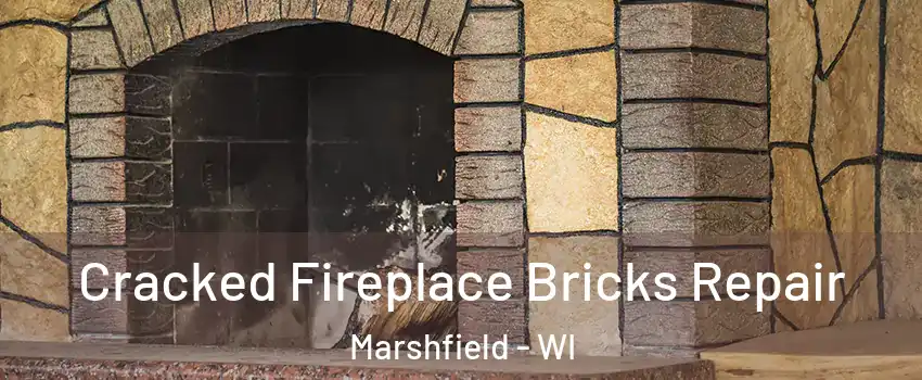  Cracked Fireplace Bricks Repair Marshfield - WI