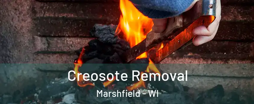 Creosote Removal Marshfield - WI