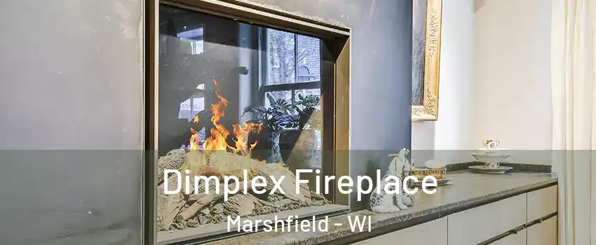  Dimplex Fireplace Marshfield - WI