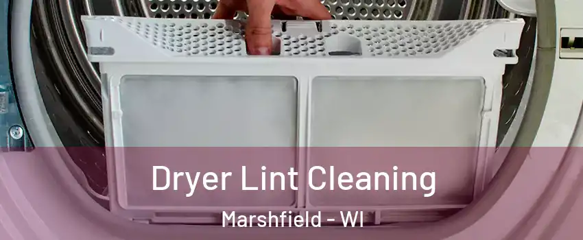  Dryer Lint Cleaning Marshfield - WI