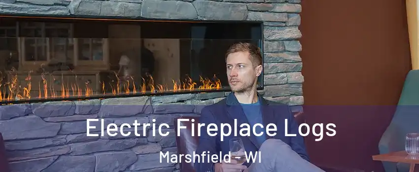  Electric Fireplace Logs Marshfield - WI