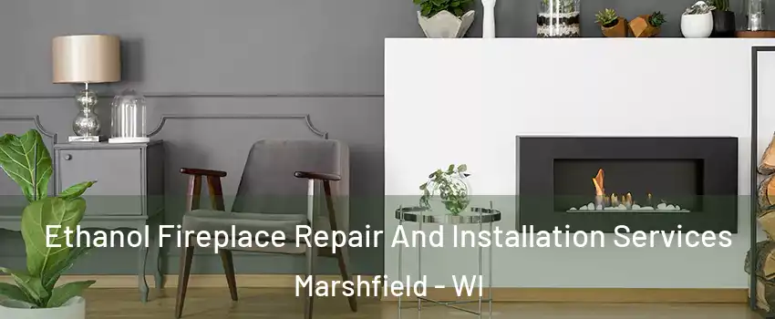  Ethanol Fireplace Repair And Installation Services Marshfield - WI