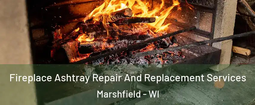 Fireplace Ashtray Repair And Replacement Services Marshfield - WI