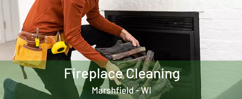  Fireplace Cleaning Marshfield - WI