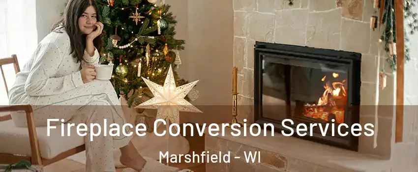  Fireplace Conversion Services Marshfield - WI