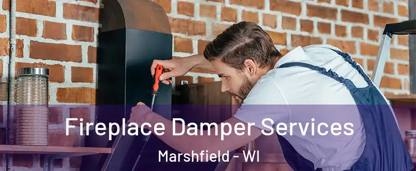  Fireplace Damper Services Marshfield - WI