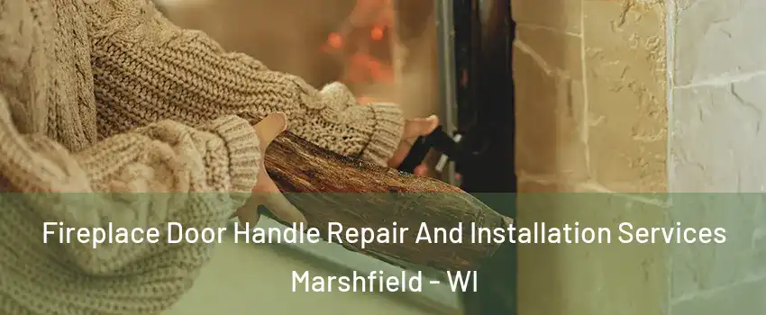  Fireplace Door Handle Repair And Installation Services Marshfield - WI