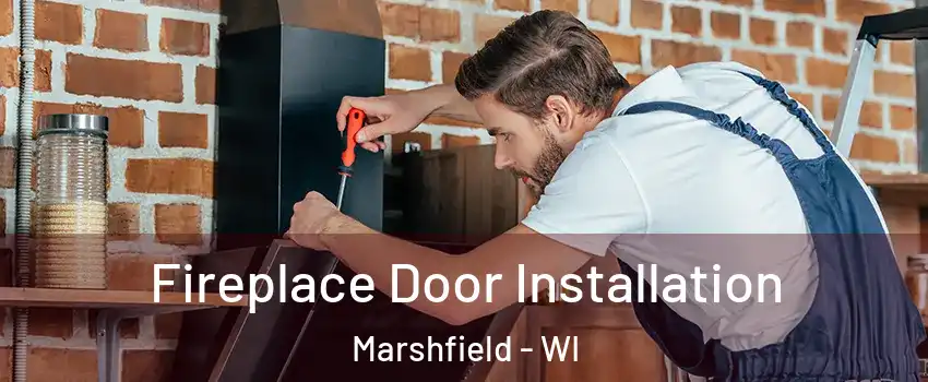  Fireplace Door Installation Marshfield - WI