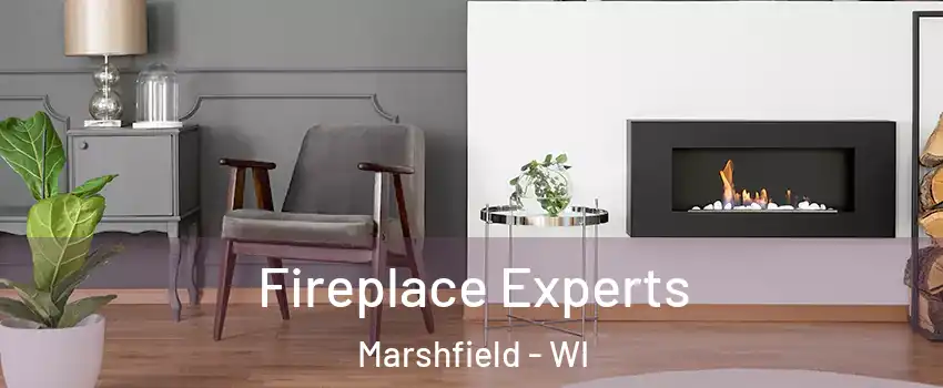  Fireplace Experts Marshfield - WI