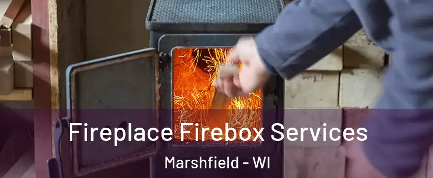  Fireplace Firebox Services Marshfield - WI