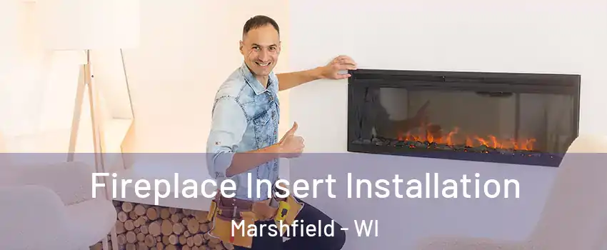  Fireplace Insert Installation Marshfield - WI