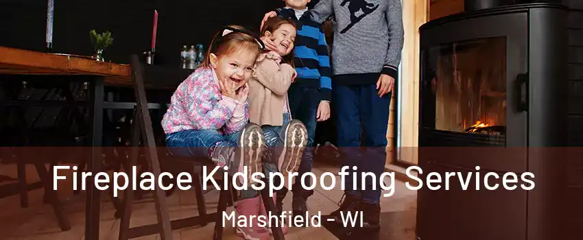  Fireplace Kidsproofing Services Marshfield - WI