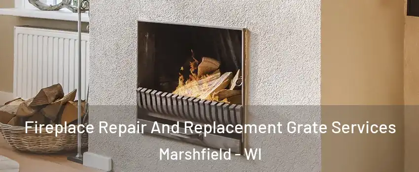  Fireplace Repair And Replacement Grate Services Marshfield - WI