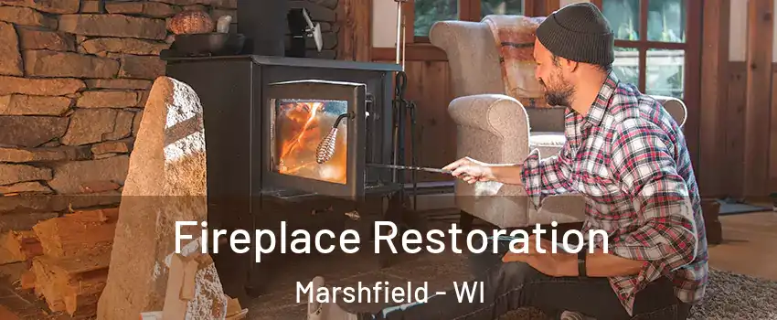  Fireplace Restoration Marshfield - WI