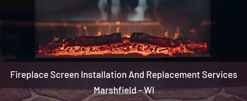  Fireplace Screen Installation And Replacement Services Marshfield - WI