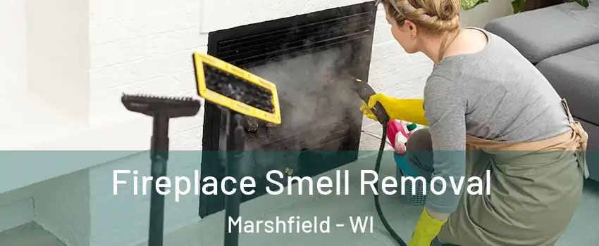  Fireplace Smell Removal Marshfield - WI