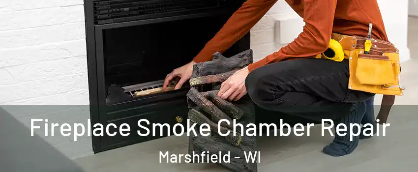  Fireplace Smoke Chamber Repair Marshfield - WI