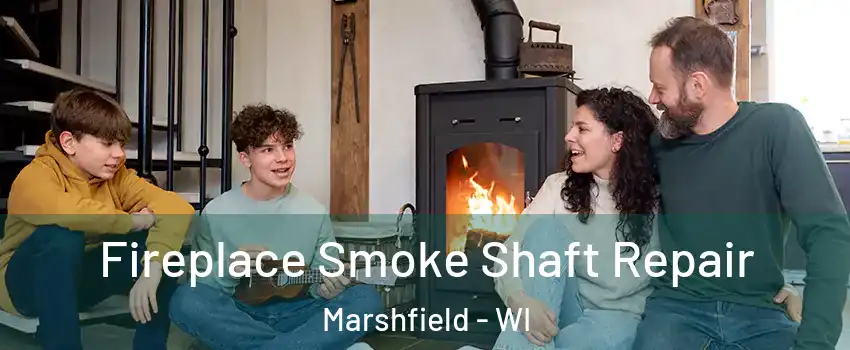  Fireplace Smoke Shaft Repair Marshfield - WI