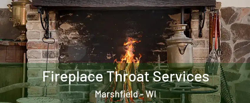  Fireplace Throat Services Marshfield - WI
