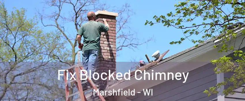  Fix Blocked Chimney Marshfield - WI